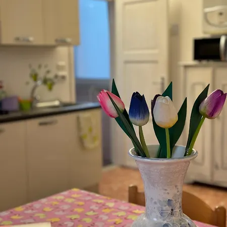 Artisanti - Dania Бардолино